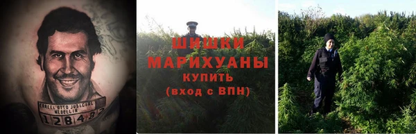 сатива Навашино
