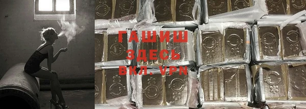 сатива Навашино