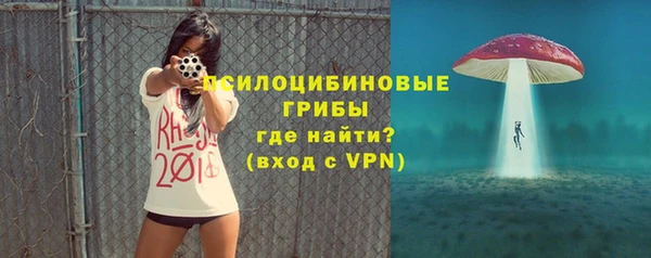 дурь Надым