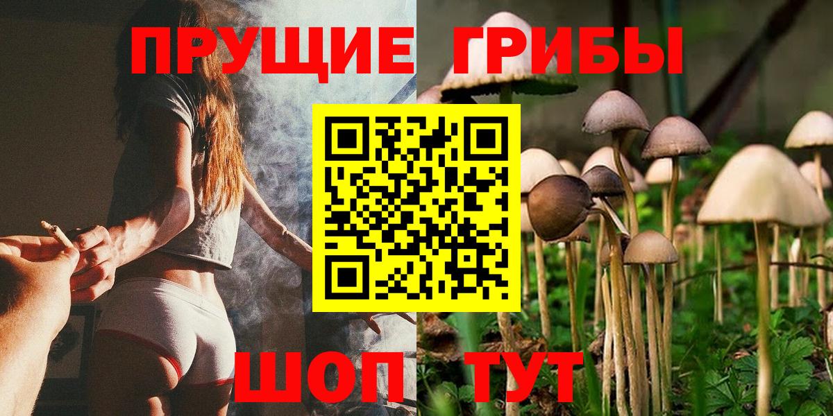 Павлово  Галлюциногенные грибы Cubensis  Вход с VPN 